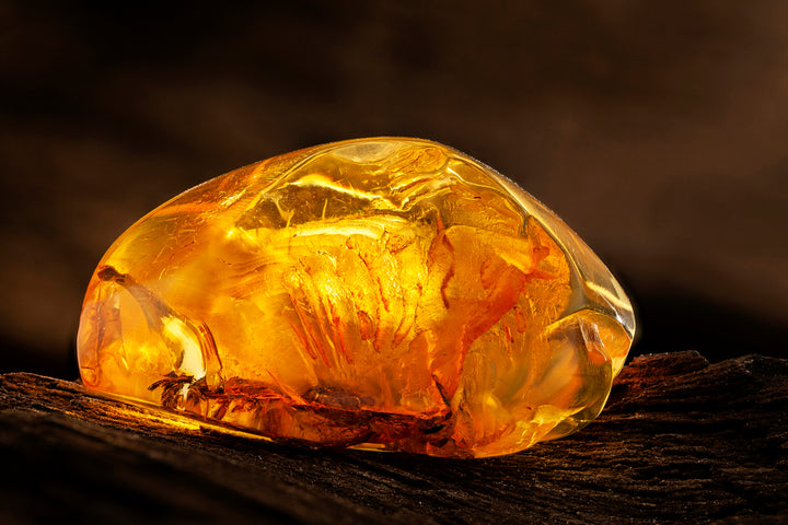 What Is Amber Scent? – Nomad Noé